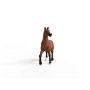GIUMENTA OLDENBURG cavalli SCHLEICH miniatura HORSE CLUB in resina 13945 età 5+ Schleich - 3