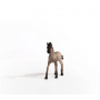 PULEDRO CRIOLLO cavalli SCHLEICH miniatura HORSE CLUB in resina 13949 età 5+ Schleich - 4