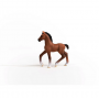 PULEDRO OLDENBURG cavalli SCHLEICH miniatura HORSE CLUB in resina 13947 età 5+ Schleich - 1