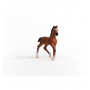 PULEDRO OLDENBURG cavalli SCHLEICH miniatura HORSE CLUB in resina 13947 età 5+ Schleich - 5