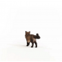 GATTO RAGDOLL miniatura SCHLEICH in resina FARM WORLD animali 13940 età 3+ Schleich - 3