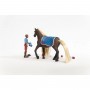 LEO & ROCKY starter set HORSE CLUB sofia's beauties SCHLEICH miniature in resina 42586 età 4+ Schleich - 9