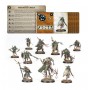 ROTMIRE CREED set con 10 miniature WARCRY warhammer IN ITALIANO age of sigmar CITADEL età 12+ Games Workshop - 2