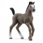 PULEDRO CHEVAL DE SELLE FRANCAIS cavalli in resina HORSE CLUB schleich 13957 età 5+ Schleich - 1