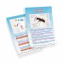 IL MINIMONDO DELLE FORMICHE ants mini world HABITAT con gel nutritivo BUKI kit scientifico TRASPARENTE età 6+ BUKI - 3