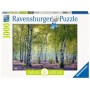 PUZZLE ravensburger BOSCO DI BETULLE n 18 nature edition 1000 PEZZI orizzontale 50 X 70 CM Ravensburger - 1