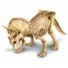 DIG A TRICERATOPS scava riporta alla luce triceratopo DINOSAURI kit arte 4M 8+