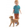 XAVIER con il suo cane SAVERIO miniatura per la casa delle bambole DJECO DJ07807 età 4+ Djeco - 1