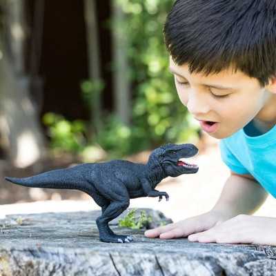 SHADOW T-REX tirannosaurus rex dell'ombra LIMITED EDITION dinosauro ...